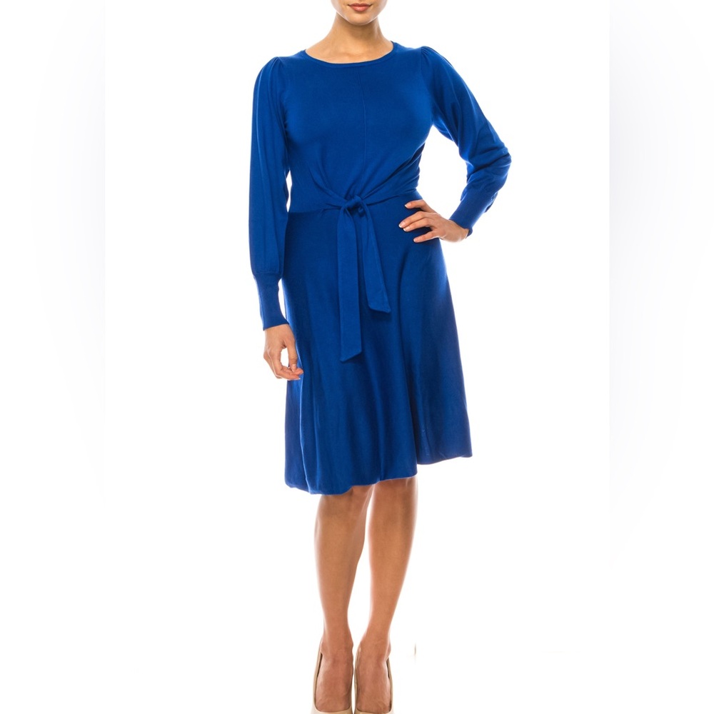 NWT 
LONDON TIMES PRINCESSS SLEEVE A-LINE SWEATER DRESS